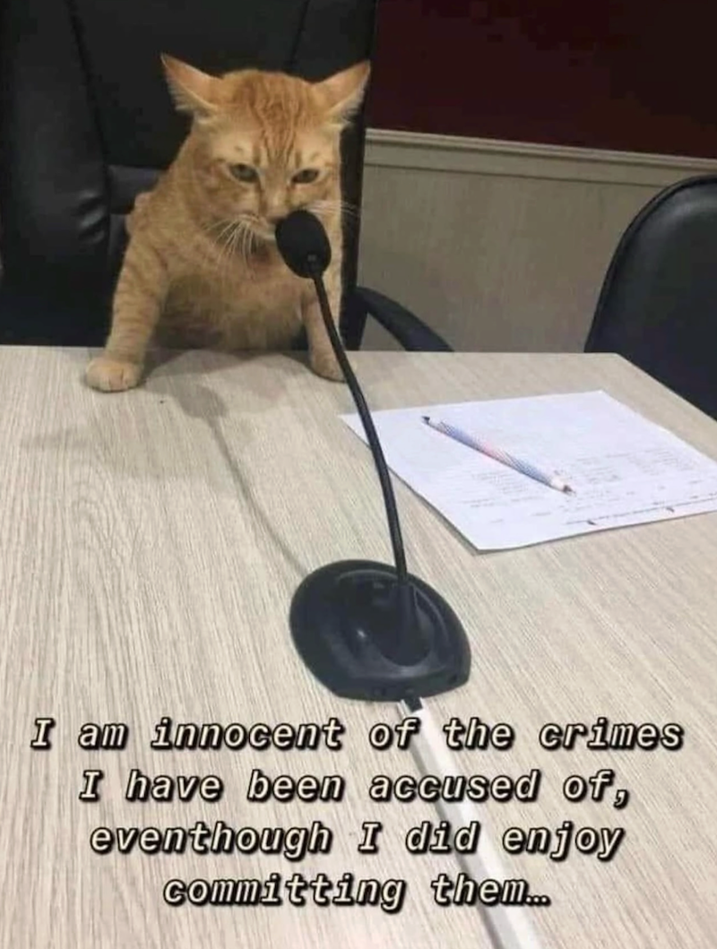 I am innocent of the crimes I have been accused of, eventhough I did enjoy committing them...