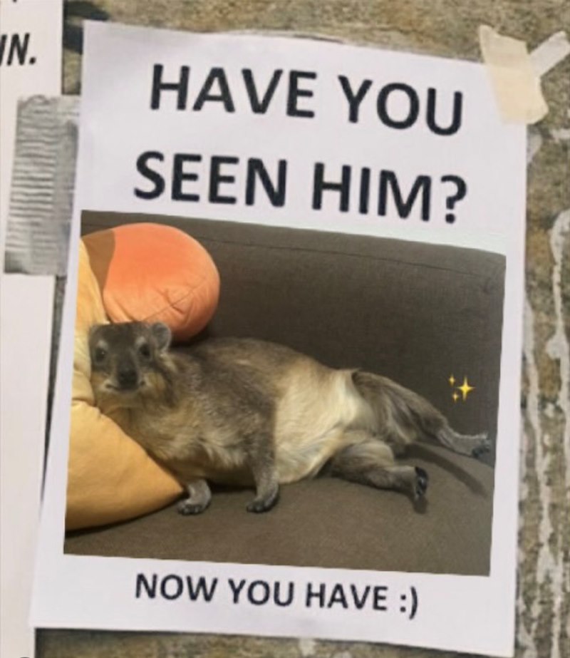 WN. HAVE YOU SEEN HIM? NOW YOU HAVE :)