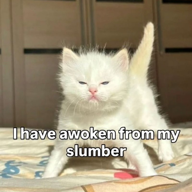 I have awoken from my slumber