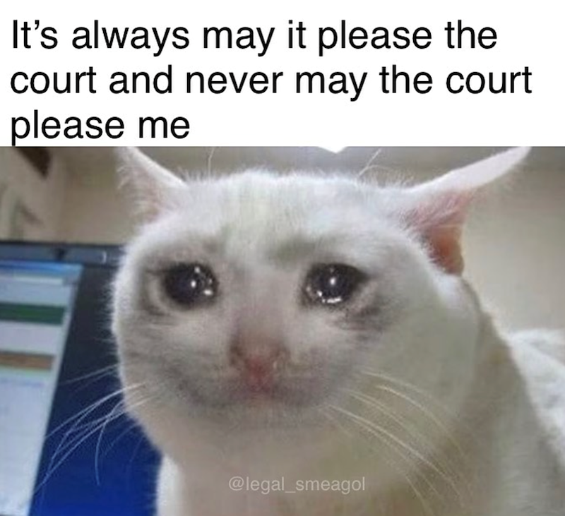 It's always may it please the court and never may the court please me @legal_smeagol