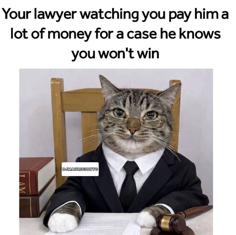 Your lawyer watching you pay him a lot of money for a case he knows you won't win DJMAURICIONYC