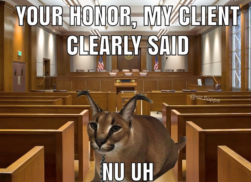 YOUR HONOR, MY CLIENT CLEARLY SAID NU UH @sir floppa