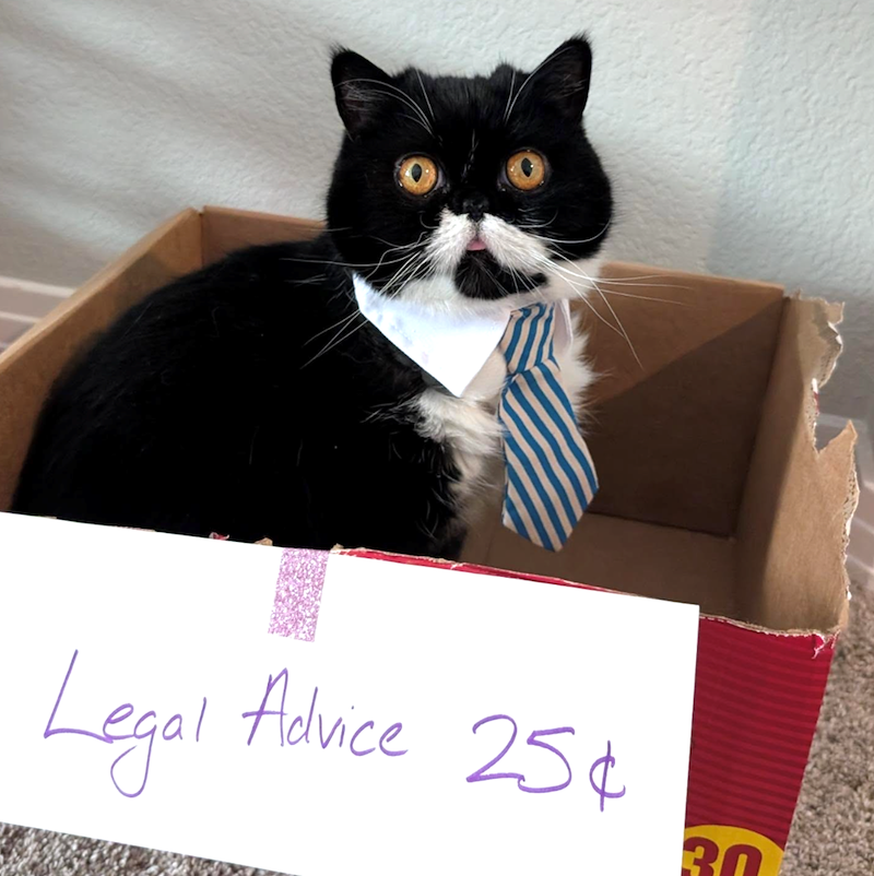 Legal Advice 25¢ 3