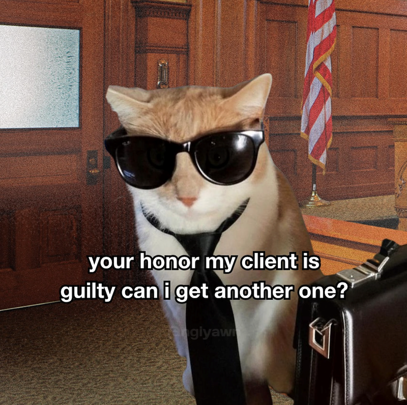 your honor my client is guilty can i get another one? angiyaw