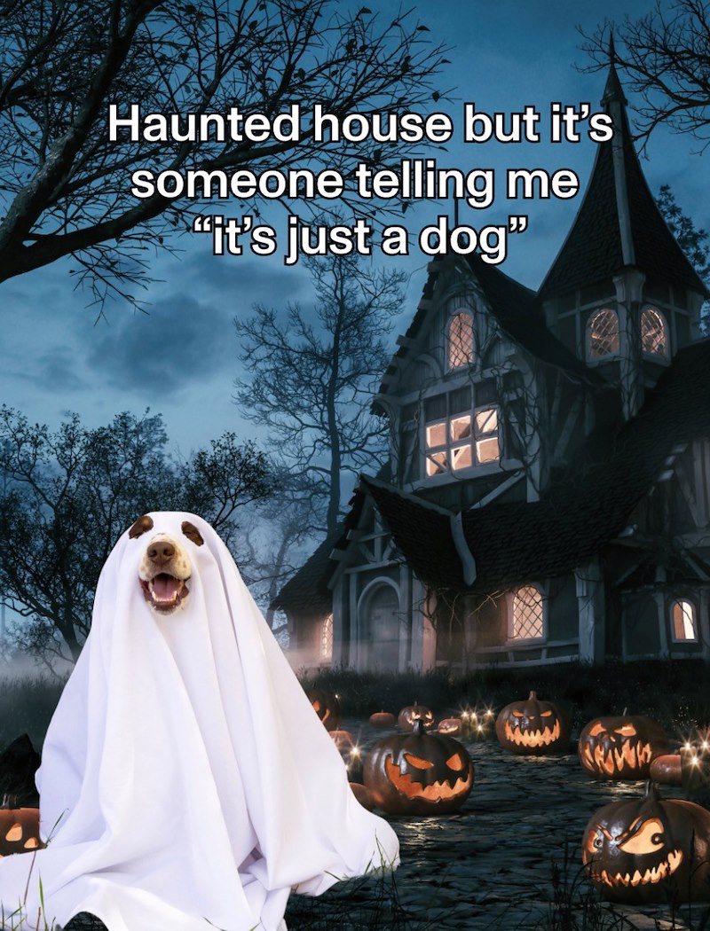 Haunted house but it's someone telling me "it's just a dog❞