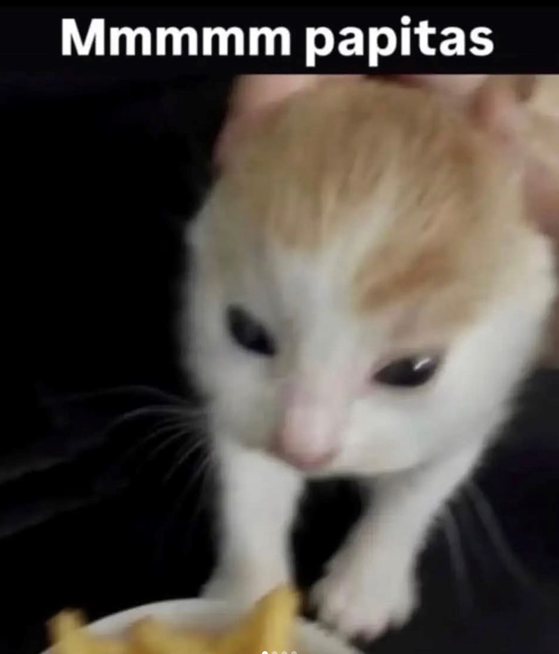 Mmmmm papitas