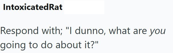 IntoxicatedRat Respond with; "I dunno, what are you going to do about it?"