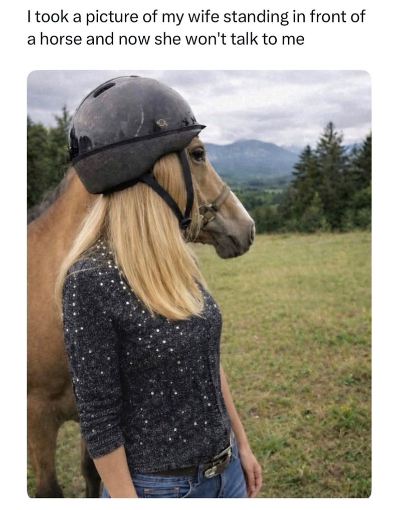 I took a picture of my wife standing in front of a horse and now she won't talk to me