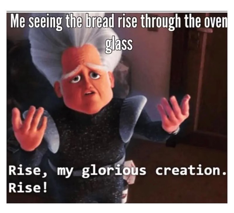 Me seeing the bread rise through the oven glass Rise, my glorious creation. Rise!