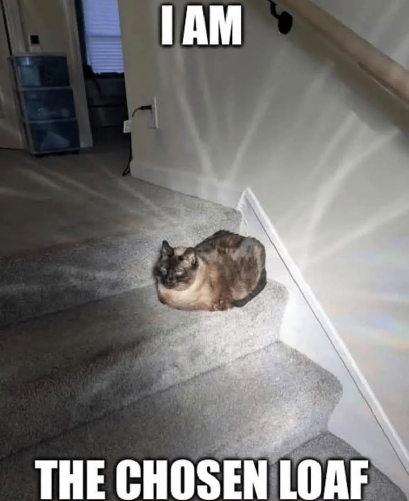I AM THE CHOSEN LOAF