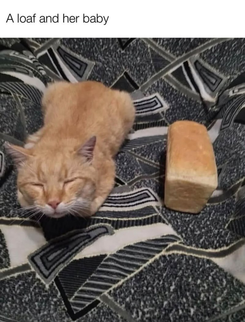 A loaf and her baby