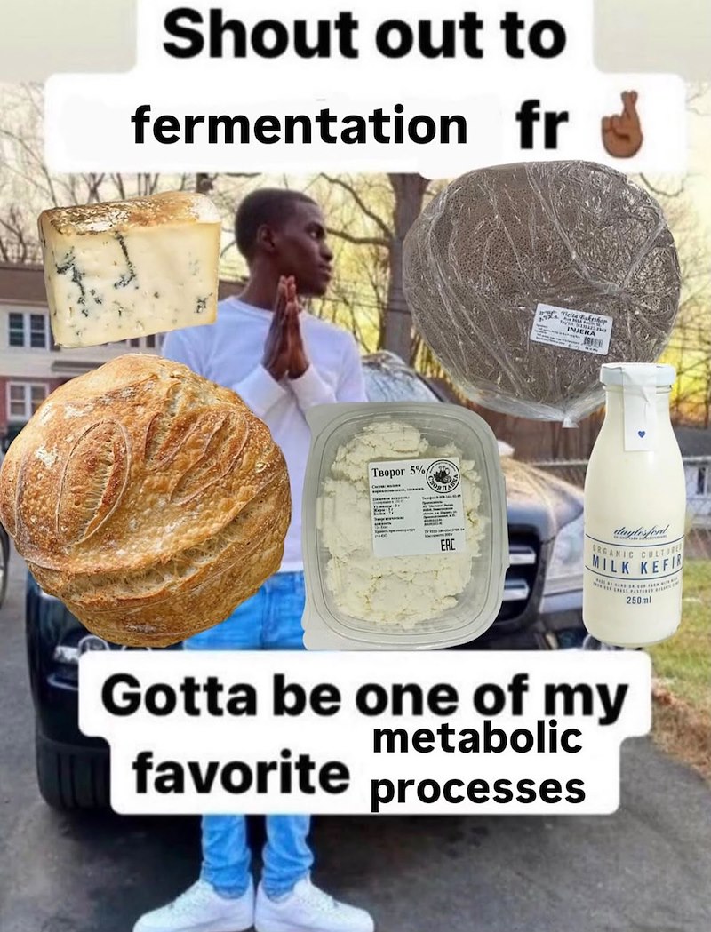 Shout out to fermentation fr Tвоpoг 5% CHAR Bakeshop INJERA S EAC daylesford ORGANIC CULTURE MILK KEFIR 250ml Gotta be one of my favorite metabolic processes