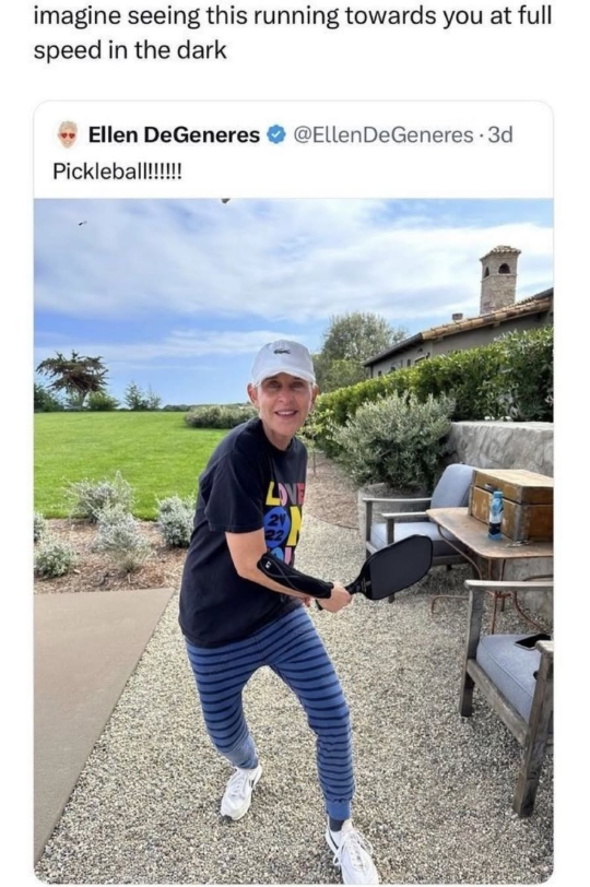 imagine seeing this running towards you at full speed in the dark Ellen DeGeneres @Ellen DeGeneres 3d Pickleball!!!!!! LOVE