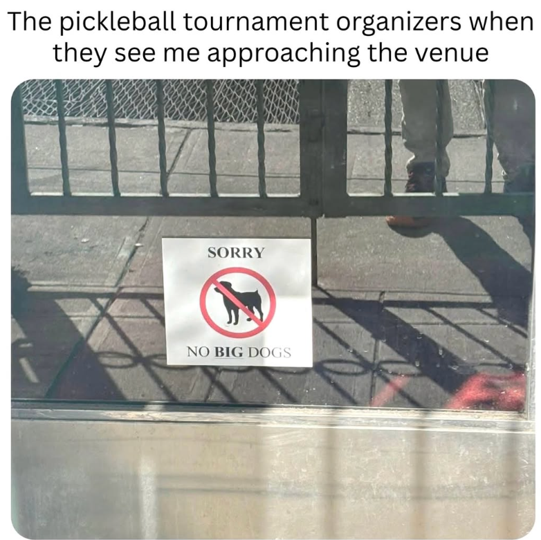 The pickleball tournament organizers when they see me approaching the venue SORRY NO BIG DOGS