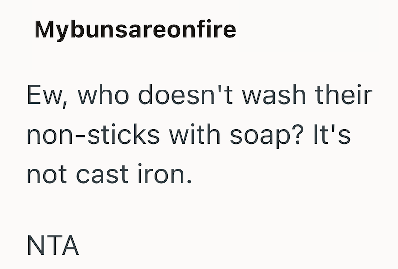 Mybunsareonfire Ew, who doesn't wash their non-sticks with soap? It's not cast iron. NTA