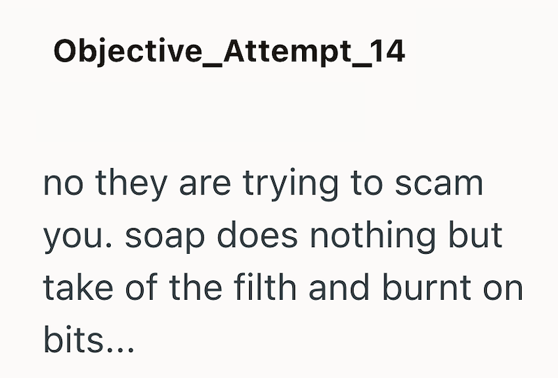 Objective_Attempt_14 no they are trying to scam you. soap does nothing but take of the filth and burnt on bits...