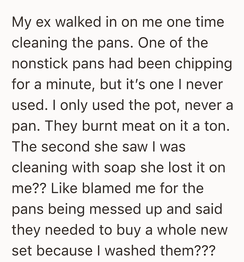 My ex walked in on me one time cleaning the pans. One of the nonstick pans had been chipping for a minute, but it's one I never used. I only used the pot, never a pan. They burnt meat on it a ton. The second she saw I was cleaning with soap she lost it on me?? Like blamed me for the pans being messed up and said they needed to buy a whole new set because I washed them???