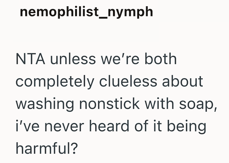 nemophilist_nymph NTA unless we're both completely clueless about washing nonstick with soap, i've never heard of it being harmful?