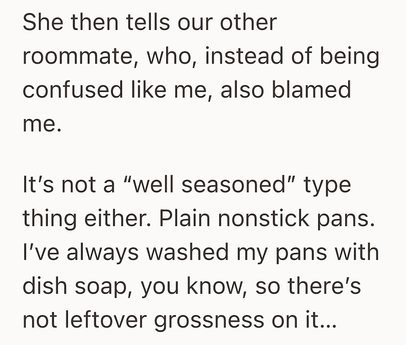 She then tells our other roommate, who, instead of being confused like me, also blamed me. It's not a "well seasoned" type thing either. Plain nonstick pans. I've always washed my pans with dish soap, you know, so there's not leftover grossness on it...