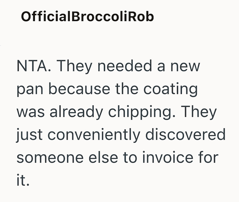 OfficialBroccoli Rob NTA. They needed a new pan because the coating was already chipping. They just conveniently discovered someone else to invoice for it.