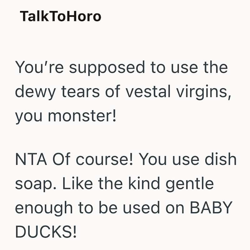 TalkToHoro You're supposed to use the dewy tears of vestal virgins, you monster! NTA Of course! You use dish soap. Like the kind gentle enough to be used on BABY DUCKS!