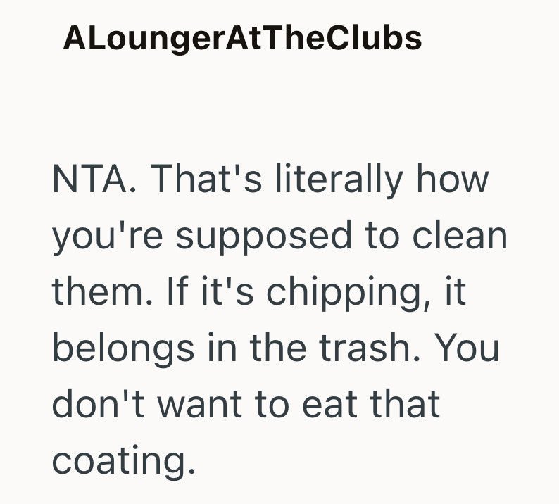 ALoungerAtTheClubs NTA. That's literally how you're supposed to clean them. If it's chipping, it belongs in the trash. You don't want to eat that coating.