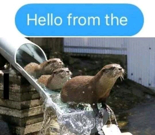 Hello from the