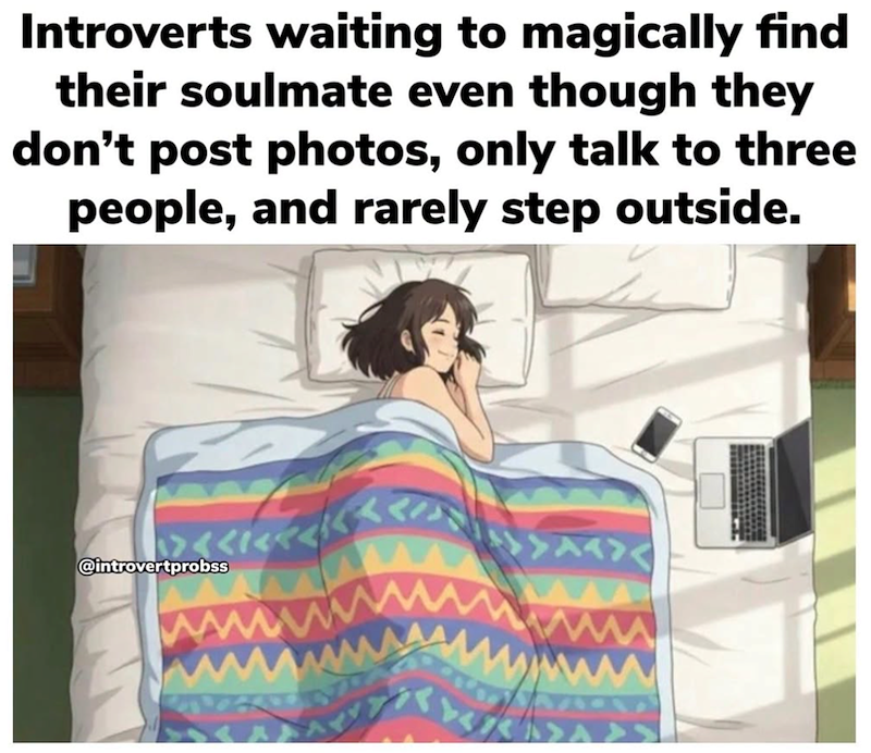 Introverts waiting to magically find their soulmate even though they don't post photos, only talk to three people, and rarely step outside. @introvertprobss <