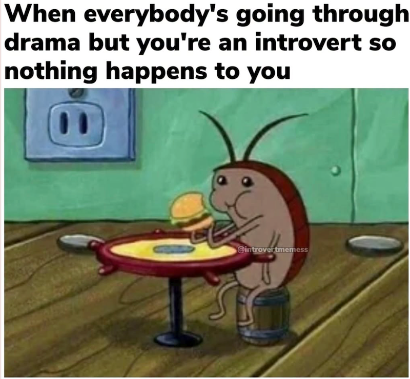 When everybody's going through drama but you're an introvert so nothing happens to you @introvertmemess