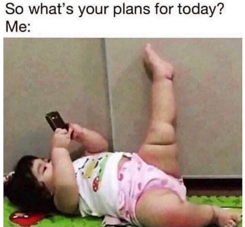 So what's your plans for today? Me: