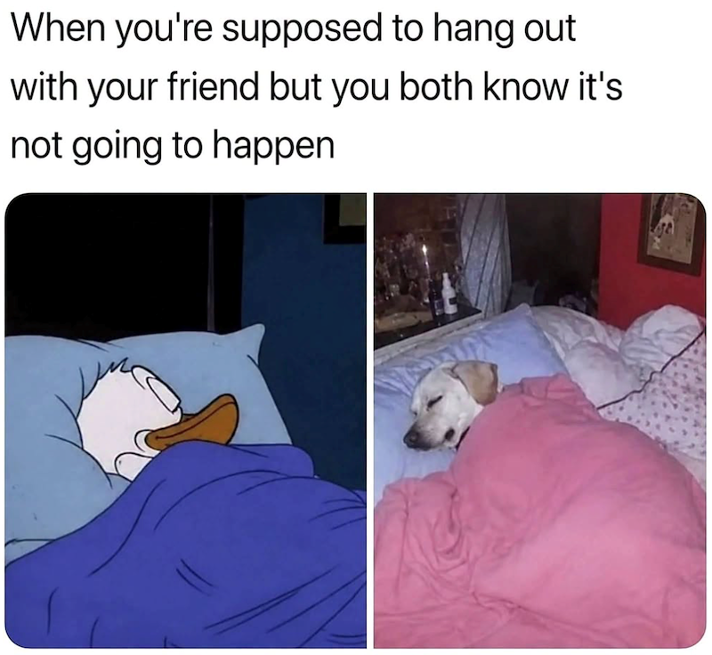 When you're supposed to hang out with your friend but you both know it's not going to happen