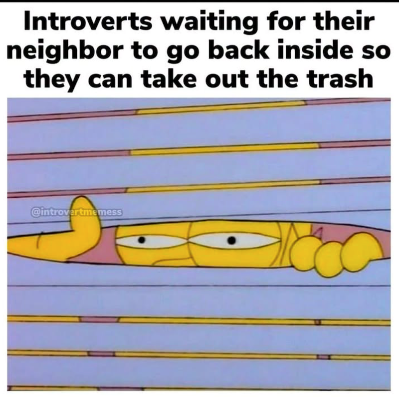 Introverts waiting for their neighbor to go back inside so they can take out the trash @introvertmemess