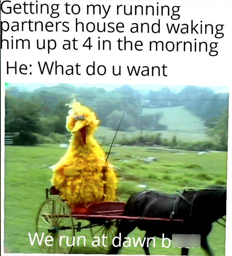 Getting to my running partners house and waking him up at 4 in the morning He: What do u want We run at dawn bl