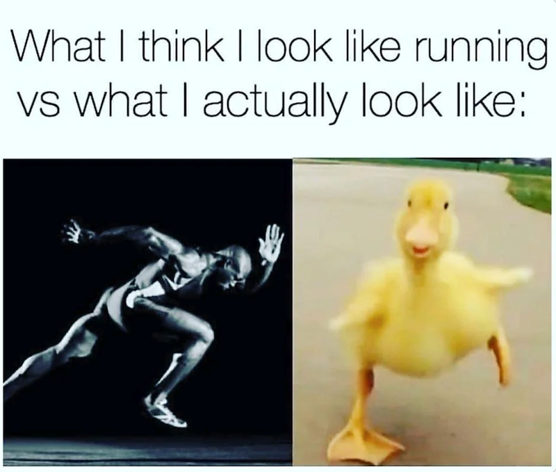 What I think I look like running vs what I actually look like: