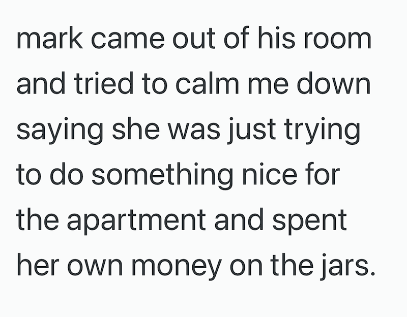mark came out of his room and tried to calm me down saying she was just trying to do something nice for the apartment and spent her own money on the jars.