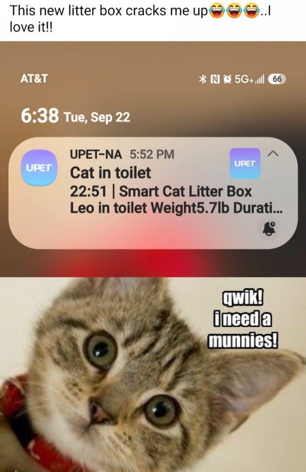 This new litter box cracks me up love it!! AT&T 6:38 Tue, Sep 22 UPET-NA 5:52 PM UPET Cat in toilet N5G+ 66 UPET 22:51 | Smart Cat Litter Box Leo in toilet Weight5.7lb Durati... qwik! ineeda munnies!