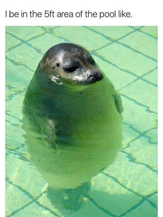 I be in the 5ft area of the pool like.