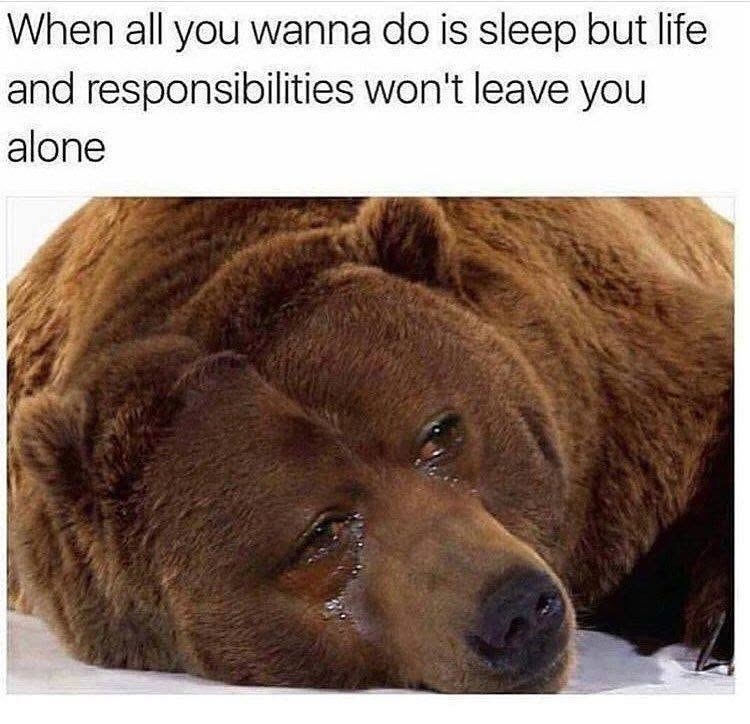 When all you wanna do is sleep but life and responsibilities won't leave you alone