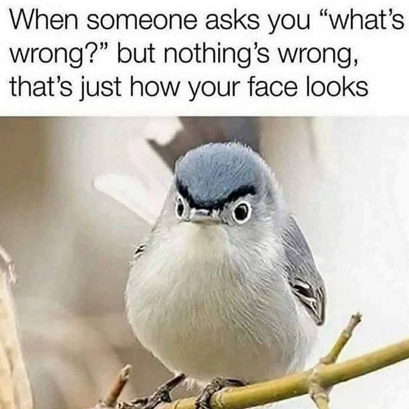 When someone asks you "what's wrong?" but nothing's wrong, that's just how your face looks
