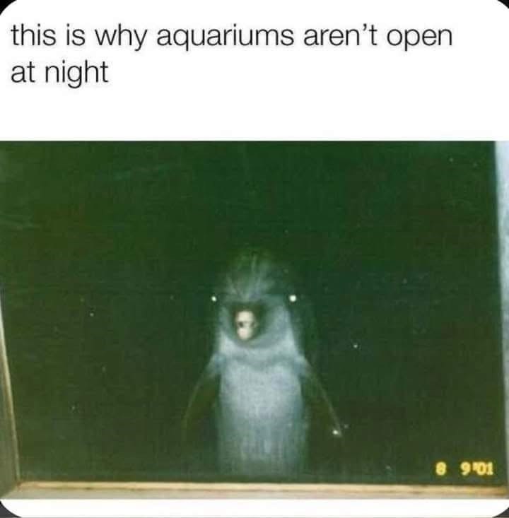 this is why aquariums aren't open at night 8.901
