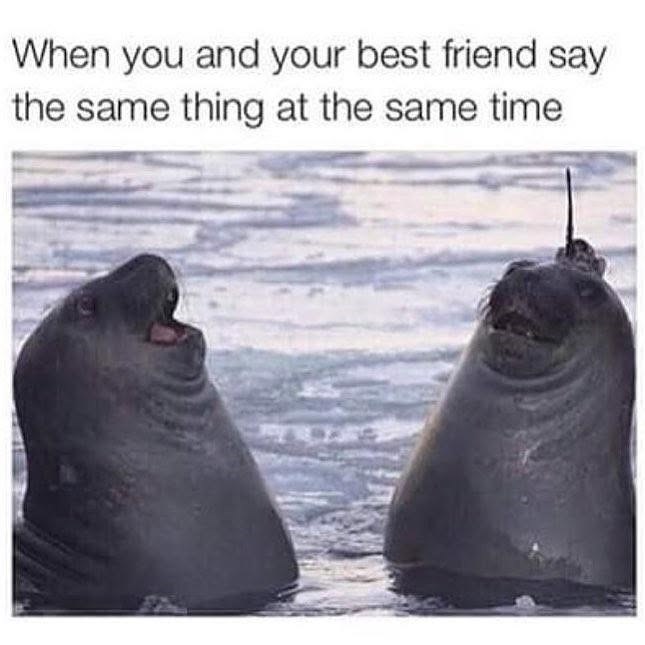 When you and your best friend say the same thing at the same time