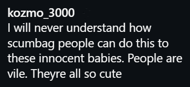 kozmo_3000 I will never understand how scumbag people can do this to these innocent babies. People are vile. Theyre all so cute
