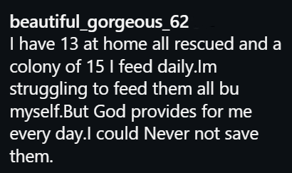 beautiful_gorgeous_62 I have 13 at home all rescued and a colony of 15 I feed daily.Im struggling to feed them all bu myself. But God provides for me every day.I could Never not save them.