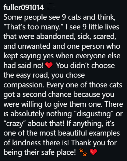fuller091014 Some people see 9 cats and think, "That's too many." I see 9 little lives that were abandoned, sick, scared, and unwanted and one person who kept saying yes when everyone else had said no! ♥ You didn't choose the easy road, you chose compassion. Every one of those cats got a second chance because you were willing to give them one. There is absolutely nothing "disgusting" or "crazy" about that! If anything, it's one of the most beautiful examples of kindness there is! Thank you for b