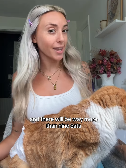 and there will be way more than nine cats