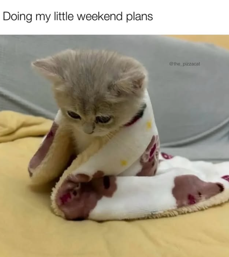 Doing my little weekend plans @the_pizzacat