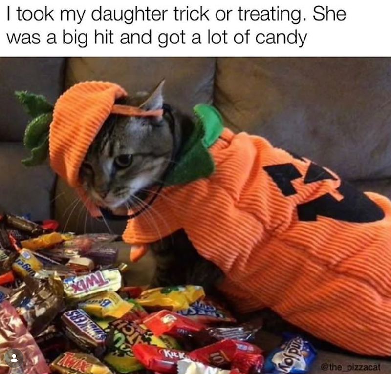 I took my daughter trick or treating. She was a big hit and got a lot of candy 560 XIMI Toke ATCH Kick 31 10 nd joy @the_pizzacat