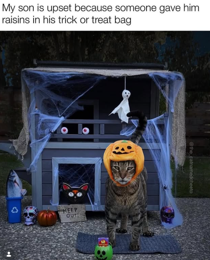 My son is upset because someone gave him raisins in his trick or treat bag KEEP OUT! SURMAND @the_catnamedcheeto