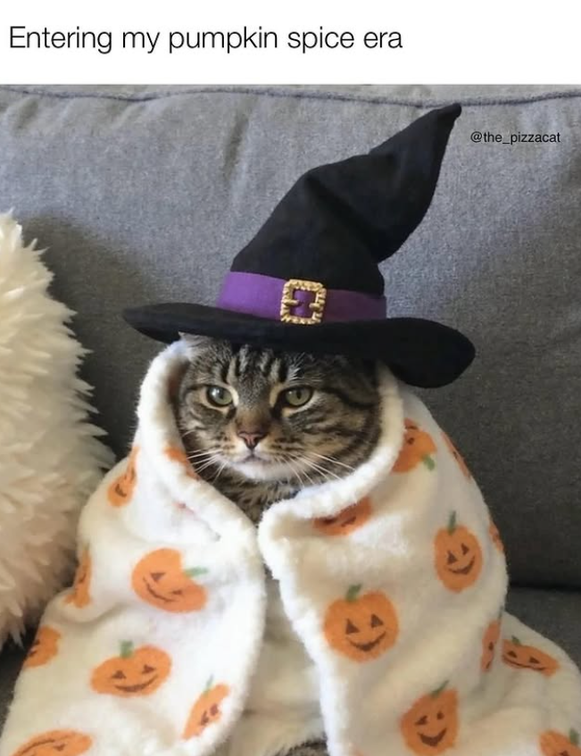 Entering my pumpkin spice era @the_pizzacat