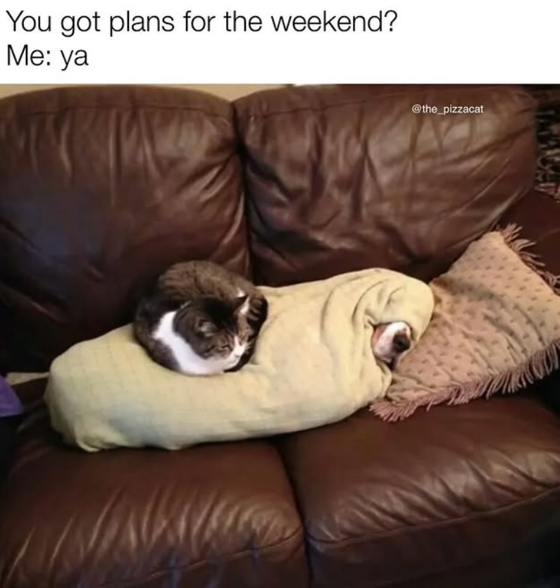 You got plans for the weekend? Me: ya @the_pizzacat